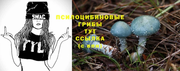 кокс Верея